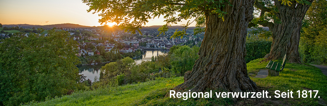 Baum in Region Schaffhausen